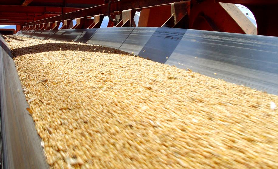 Paranaguá lidera a exportação nacional do complexo soja Considerando os produtos separadamente, Paranaguá é líder na exportação do farelo de soja e no óleo de soja. De farelo, até novembro, foram exportados 4,2 milhões de toneladas, quase o dobro do que é movimentado pelo porto do Rio Grande, que ocupa o segundo lugar da lista com 2,8 milhões de toneladas exportadas. Considerando o óleo de soja, Paranaguá exportou até novembro 732,8 mil toneladas do produto, o que corresponde 46% do volume nacional exportado.