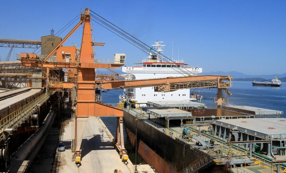 Porto de Paranaguá vai exportar trigo paranaense na entressafra Numa primeira etapa, serão exportadas 60 mil toneladas de trigo da Associação das Empresas Cerealistas do Estado do Paraná (Acepar) e, na seqüência já estão previstas outras 40 mil toneladas de trigo a serem exportadas de outra cooperativa paranaense