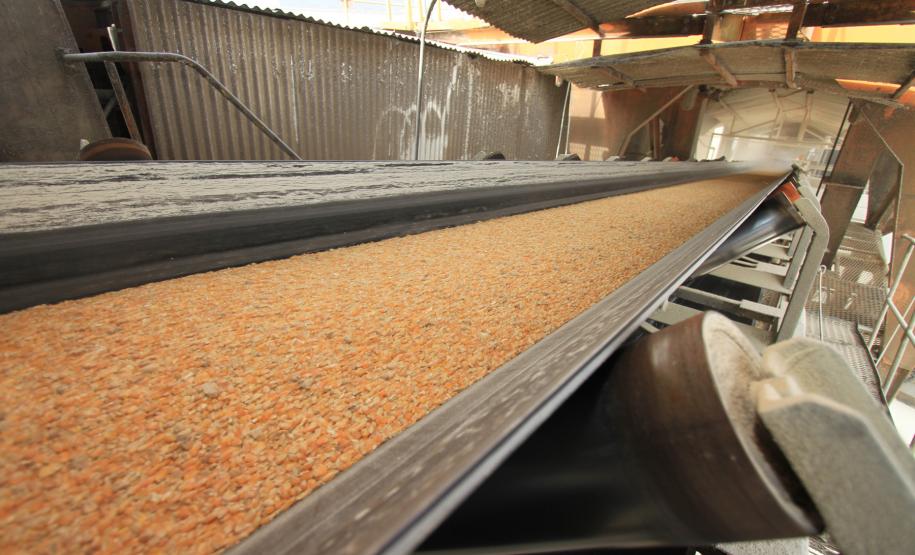 Os portos de Paranaguá e Antonina fecharam o ano de 2011 com 41 milhões de toneladas de cargas movimentadas. O volume é o maior registrado na história dos portos e, no comparativo com o ano de 2010, registrou um crescimento de 8%. Destaque na movimentação foi a exportação de soja. Em 2011 foram 7 milhões de toneladas exportadas, volume 30% ao superior ao registrado em 2010.