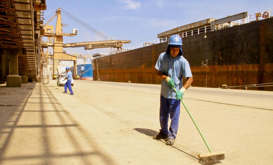 Appa reduz a população de pombos na área portuária de Paranaguá O Núcleo Ambiental montou um Plano de Controle de Zoonoses, com mapeamento de áreas e contagens dos pombos, a partir de registros fotográficos, para determinar quais eram os locais mais procurados e os períodos.