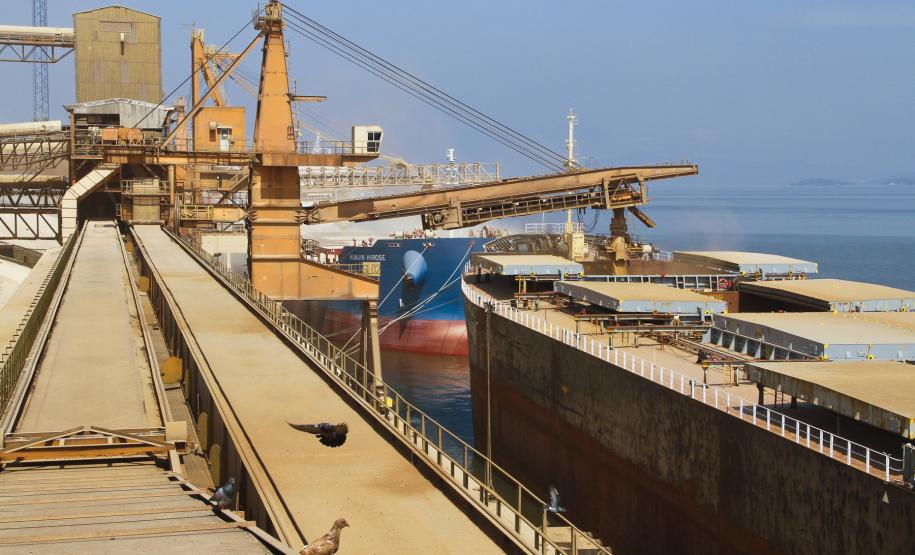 Appa reduz a população de pombos na área portuária de Paranaguá Um conjunto de ações desenvolvidas pela Administração dos Porto de Paranaguá e Antonina (Appa) reduziu em aproximadamente 80% a população de pombos na área portuária de Paranaguá nos últimos seis meses. A proliferação desses animais era fonte de problemas para as operações do terminal, devido aos riscos de contaminação de produtos e à transmissão de doenças ao homem.