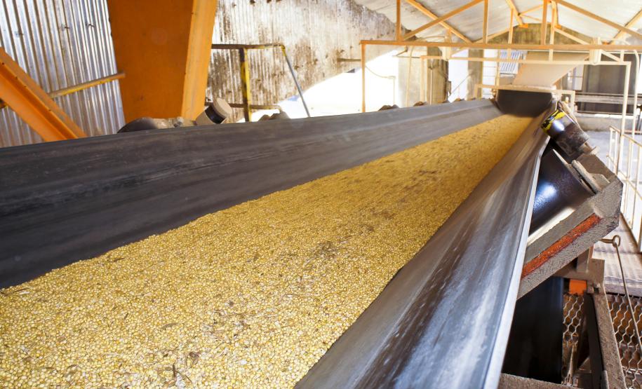 Porto de Paranaguá registra alta de 40% nas exportações de granéis no primeiro bimestre Considerando apenas a carga de soja, a movimentação no bimestre foi de 780 mil toneladas, volume quatro vezes superior ao registrado em 2011. As exportações de farelo, que também totalizaram 780 mil toneladas, representaram alta de 50% em relação ao mesmo período do ano passado.