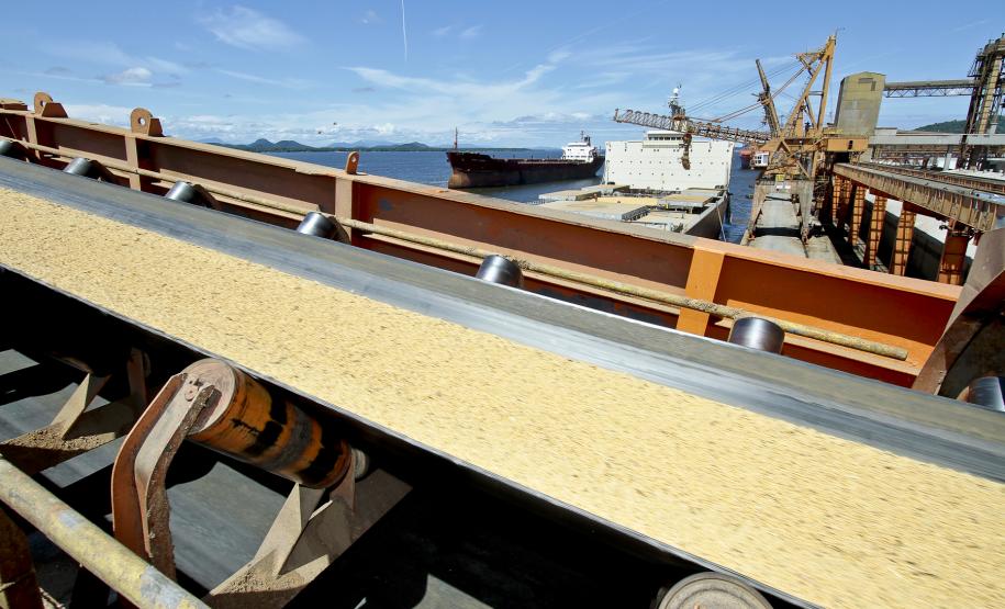 Alta no preço da soja intensifica movimentação no Porto de Paranaguá Uma combinação de fatores vem fazendo com que os exportadores de soja promovam uma verdadeira corrida aos portos. O dólar está apresentando a melhor cotação dos últimos três anos e atingiu os R$ 2.