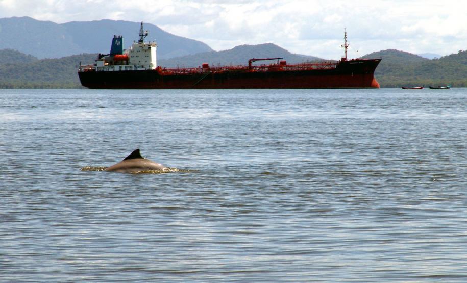 Appa participa da 7ª Semana de Meio Ambiente de Paranaguá Representado pelo Núcleo Permanente de Gestão Ambiental, durante os quatro dias de evento o Porto vai divulgar as iniciativas que vem desenvolvendo no intuito de preservar o meio ambiente. “Vamos mostrar que estamos preocupados com o meio ambiente e de olhos voltados para a preservação”, afirma o coordenador do Núcleo Ambiental da Appa, Ricardo Castilho.