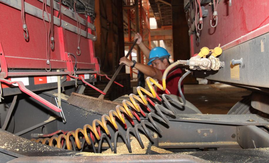 Appa e prefeitura mobilizam comunidade portuária para limpeza das vias de acesso Limpeza – Para manter as ruas do entorno limpas, a Appa tem investido na eliminação da causa do problema