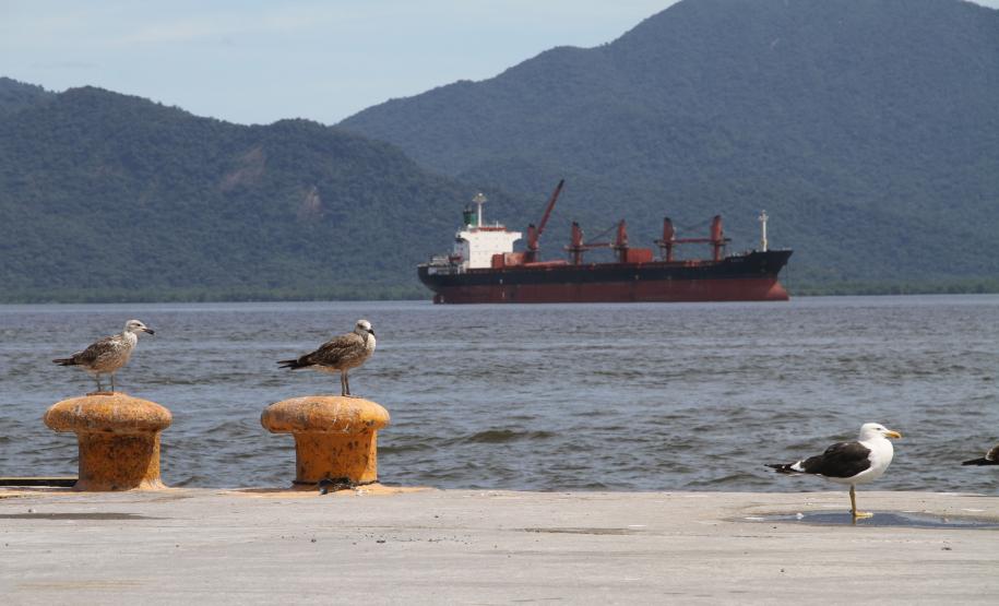 Teve início nesta sexta-feira (22) o monitoramento ambiental da área a ser dragada no canal de acesso aos portos de Paranaguá e Antonina. Ao todo, são cerca de 80 pontos de coleta para monitorar a qualidade da água, qualidade do sedimento a ser dragado e das comunidades planctônicas (fito, zoo e ictioplâncton).