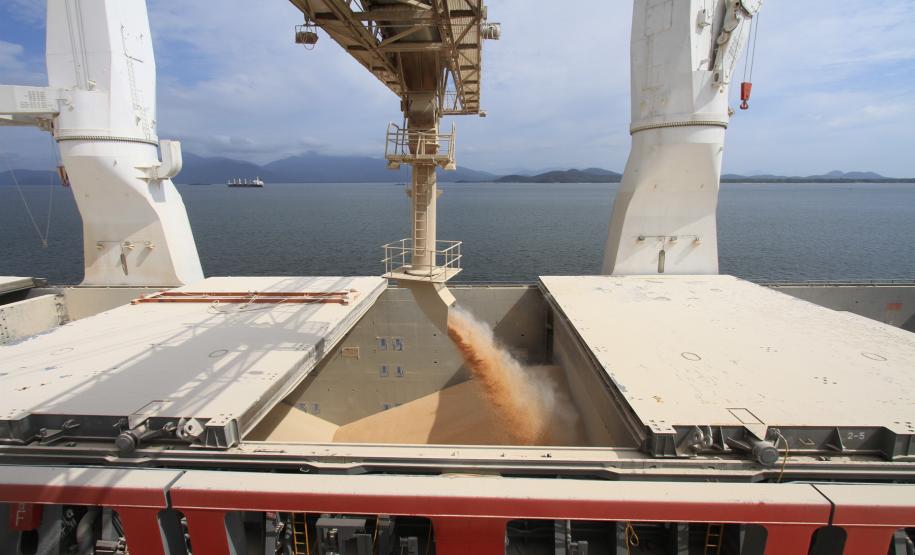 milhões de toneladas
A Administração dos Portos de Paranaguá e Antonina (Appa) concluiu, nesta terça-feira (10), o balanço da movimentação de cargas do primeiro semestre do ano. Mais uma vez, foi o desempenho da soja que impulsionou o aumento geral de 5%, em relação ao mesmo período de 2011. A exportação do grão, em 2012, foi 25% maior.