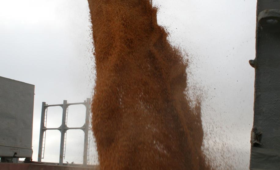 Exportação de milho por Paranaguá dobra no primeiro semestre A colheita da segunda safra de milho começou só agora, mas o volume exportado este ano, já surpreende. Segundo dados do departamento de estatística da Administração dos Portos de Paranaguá e Antonina (Appa), no primeiro semestre deste ano, a exportação da commodity pelo Porto de Paranaguá foi o praticamente o dobro em comparação ao mesmo período de 2011. Em 2012, já são mais 868 mil toneladas exportadas, contra 440 mil toneladas no mesmo período do ano passado.