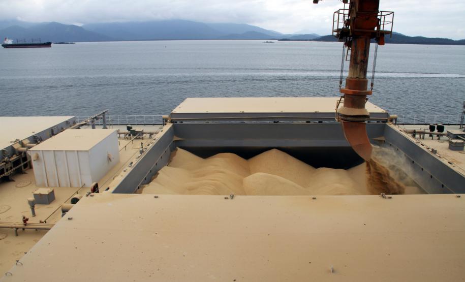 Exportação de milho cresce 65% em Paranaguá O aumento da área plantada e condições climáticas favoráveis estão fazendo com que a segunda safra de milho no Brasil seja recorde em 2012. O Porto de Paranaguá, segundo maior exportador de milho do país, fechou o mês de julho com o escoamento de 1,3 milhão de toneladas do produto, volume 65% superior ao registrado em 2011.