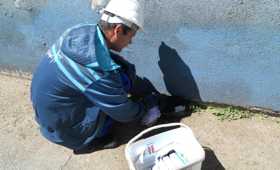 Outras medidas – Além do recolhimento de ratos e pombos, o Plano de Controle de Zoonoses prevê a desinsetização e coleta de resíduos. Esse controle é uma exigência da Anvisa. “Nunca essa limpeza foi levada tão a sério quanto nos dois últimos anos. Cada vez mais estamos incorporando a cultura da limpeza na comunidade portuária, o que ajuda a reduzir a fauna sinantrópica nociva. Esse é o passaporte para que o Porto seja livre de doenças e possa garantir qualidade”, conclui Dalmaz.