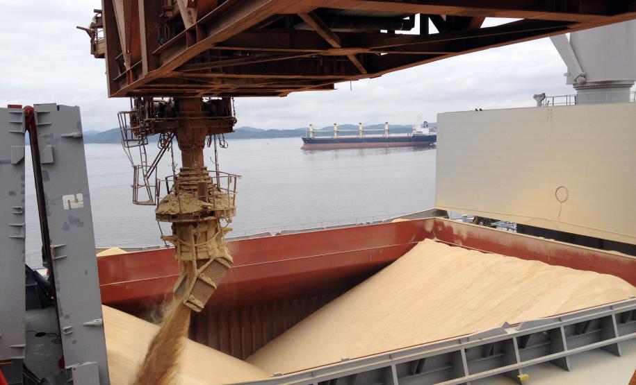 Portos paranaenses se preparam para nova safra recorde de soja Previsões – Segundo dados divulgados pela Secretaria de Estado de Agricultura e Abastecimento (Seab), o Paraná deve colher, em 2013, cerca de 15,27 milhões de toneladas de soja nesta safra, plantados em cerca de 4,63 milhões de hectares