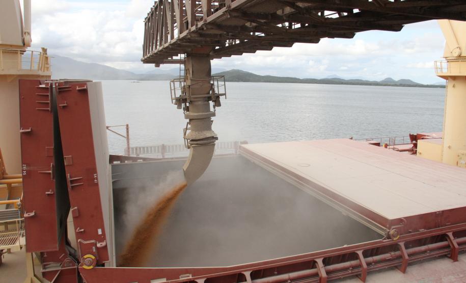 As exportações representam quase 56,5% da movimentação geral registradas pelos portos de Paranaguá e Antonina em 2012. Esse volume - mais de 44,6 milhões de toneladas - é um novo recorde histórico; 9% maior em relação aos 41 milhões movimentados em 2011.