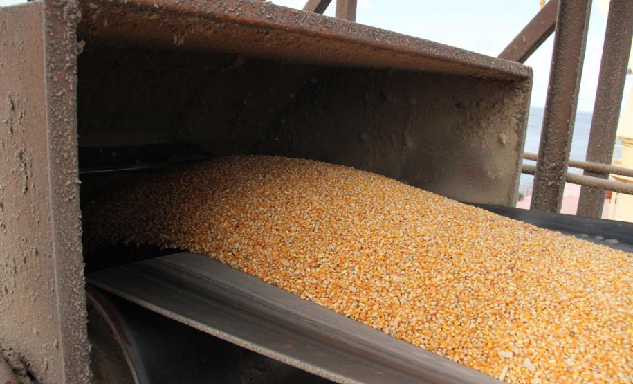 “Pelo segundo ano consecutivo, conseguimos quebrar o recorde em produtividade