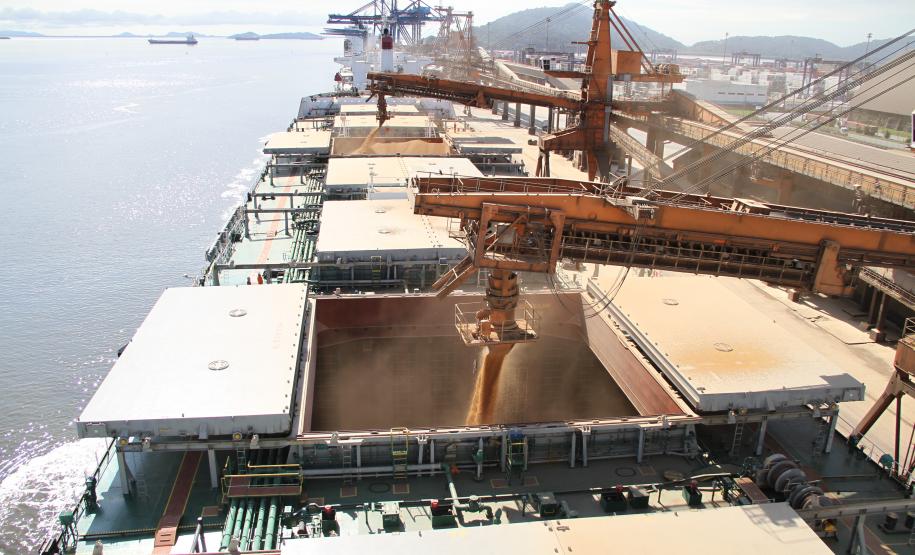 De janeiro até agora, foram exportadas pouco mais de um milhão de toneladas do produto, contra 340 mil toneladas no mesmo período de 2012. O crescimento foi de 65% nas exportações do produto.