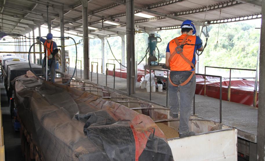 A Companhia de Desenvolvimento Agropecuário do Paraná (Codapar), responsável pela classificação dos grãos para exportação no Estado, está testando a classificação antecipada dos grãos que saem do Interior. Antes de chegarem ao Porto de Paranaguá, a qualidade da soja, do milho e do farelo de soja está sendo avaliada no Centro Logístico de Guarapuava.