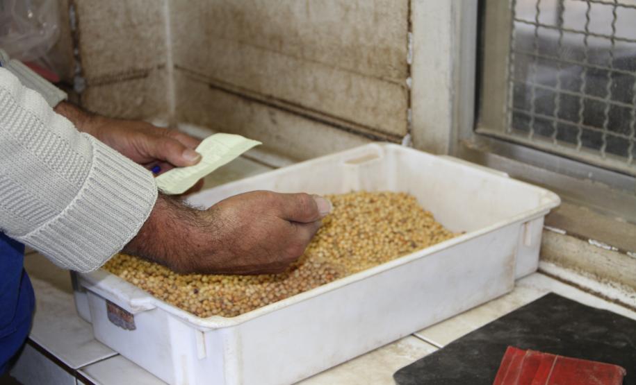 A Companhia de Desenvolvimento Agropecuário do Paraná (Codapar), responsável pela classificação dos grãos para exportação no Estado, está testando a classificação antecipada dos grãos que saem do Interior. Antes de chegarem ao Porto de Paranaguá, a qualidade da soja, do milho e do farelo de soja está sendo avaliada no Centro Logístico de Guarapuava.