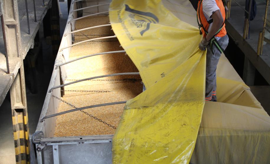 A Companhia de Desenvolvimento Agropecuário do Paraná (Codapar), responsável pela classificação dos grãos para exportação no Estado, está testando a classificação antecipada dos grãos que saem do Interior. Antes de chegarem ao Porto de Paranaguá, a qualidade da soja, do milho e do farelo de soja está sendo avaliada no Centro Logístico de Guarapuava.