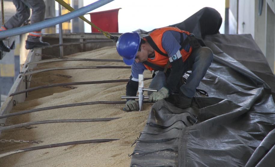 A Companhia de Desenvolvimento Agropecuário do Paraná (Codapar), responsável pela classificação dos grãos para exportação no Estado, está testando a classificação antecipada dos grãos que saem do Interior. Antes de chegarem ao Porto de Paranaguá, a qualidade da soja, do milho e do farelo de soja está sendo avaliada no Centro Logístico de Guarapuava.