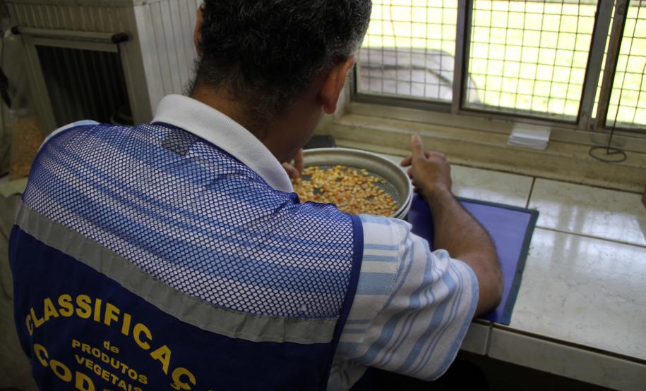A Companhia de Desenvolvimento Agropecuário do Paraná (Codapar), responsável pela classificação dos grãos para exportação no Estado, está testando a classificação antecipada dos grãos que saem do Interior. Antes de chegarem ao Porto de Paranaguá, a qualidade da soja, do milho e do farelo de soja está sendo avaliada no Centro Logístico de Guarapuava.