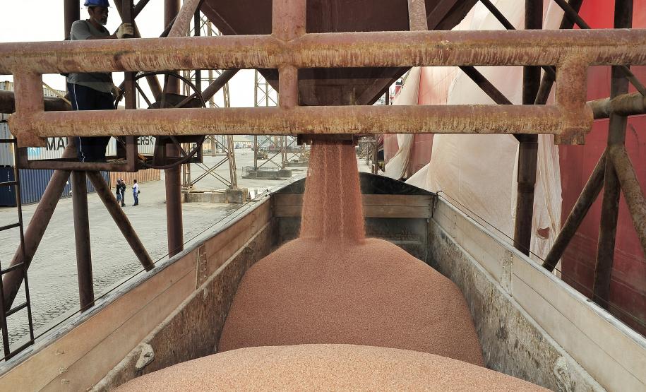 De janeiro a agosto de 2013, foram importadas 6,3 milhões de toneladas do produto, quantidade 12% superior ao mesmo período do ano passado. Melhorias logísticas permitiram que o tempo de espera dos navios diminuísse substancialmente