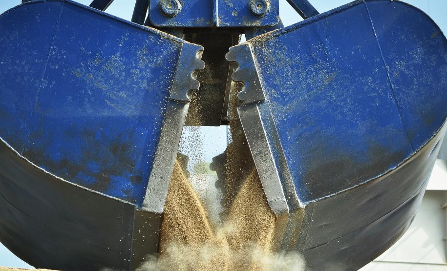 De janeiro a agosto de 2013, foram importadas 6,3 milhões de toneladas do produto, quantidade 12% superior ao mesmo período do ano passado. Melhorias logísticas permitiram que o tempo de espera dos navios diminuísse substancialmente