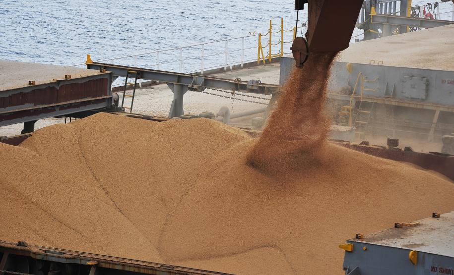 Entre os destaques está a soja, com sete milhões de toneladas exportadas. Na importação, os fertilizantes registraram alta de 11%, totalizando 7,1 milhões de toneladas.