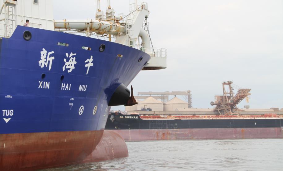 Nessa etapa inicial da obra, as dragas que trabalham são as autotransportadoras do tipo Hopper Xin Hai Niu, com capacidade de 10.000 m³, e a Sucuri, de 600 m³.