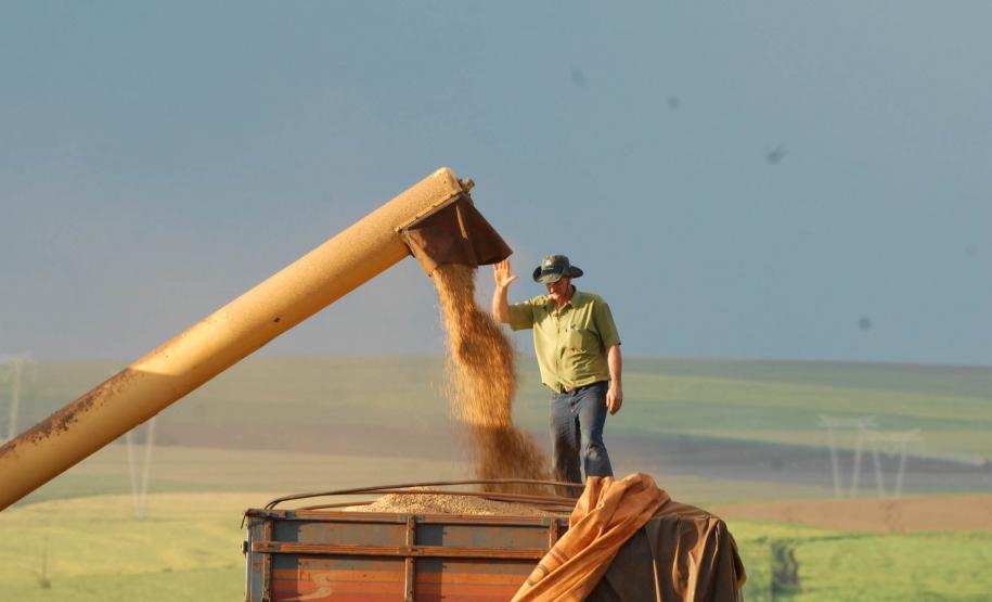 Londrina e Maringá debatem necessidades e soluções logísticas da produção agrícola Em meio à estimativa de crescimento de 7 milhões de toneladas na safra brasileira de grãos 2013/14 e de um déficit de armazenagem de aproximadamente 12,5 milhões de toneladas, no Paraná, a região Norte do Estado debate soluções para garantir o crescimento sustentável da produção