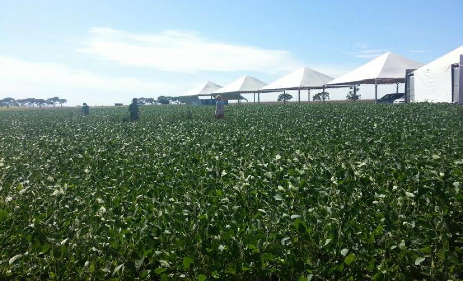 Nesta sexta-feira (31), às 16h30, o superintendente da Administração dos Portos de Paranaguá e Antonina (Appa), Luiz Henrique Dividino, participa do fórum sobre a logística da safra 2013/2014, do Projeto Soja Brasil, na Fazenda Boa Sorte, em Quarto Centenário, no Paraná. O evento será prestigiado pelo Governador Beto Richa, pelos secretário de Estado da Agricultura, Norberto Ortigara, e de Infraestrutura e Logística, José Richa Filho, e pelo diretor empresarial da Appa, Lourenço Fregonese.