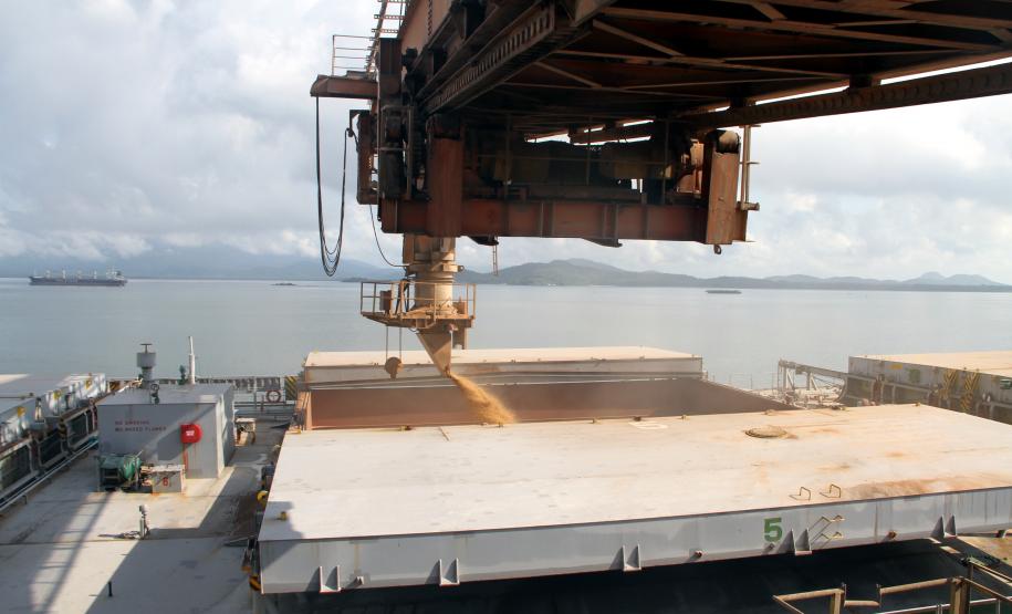 A exportação de soja, milho e farelo de soja pelo Corredor de Exportação do Porto de Paranaguá atingiu o maior volume para um mês de janeiro da história do Porto. Foram exportados 982,8 mil toneladas de grãos pelo Corex, volume 11,89% maior do que o registrado em janeiro de 2013.