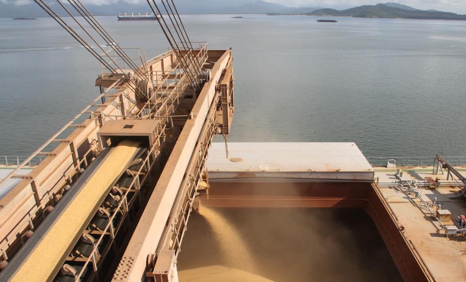 Volume de caminhões recebidos aumentou 36,5% no período, sem a formação de filas nas estradas. Entre os produtos movimentados, o destaque é a soja que este ano teve o escoamento adiantado