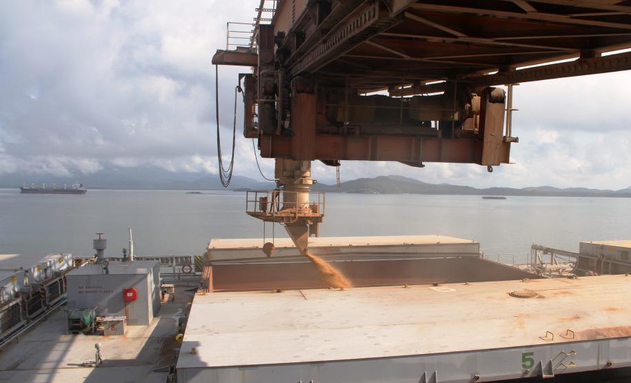 Exportações de grãos crescem 20% pelo Corredor do Porto de Paranaguá Apenas da soja em grão, no primeiro trimestre, foram exportados 2,5 milhões de toneladas, volume 144% maior que o registrado no período, no ano passado. Já de farelo, foram 835,2 mil toneladas exportadas e, de milho, pouco mais de 500 mil.