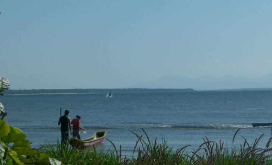 Uma pesquisadora catarinense, formada pela Universidade Federal do Paraná (UFPR), registrou a ocorrência de raias mantas na área de influência do Porto de Paranaguá. Com o Projeto Raia Manta, agora ela estuda os detalhes da presença dessas, que são as maiores raias do mundo, aqui na região. A baía paranaense é o único lugar onde está confirmada a ocorrência sazonal dessa espécie.