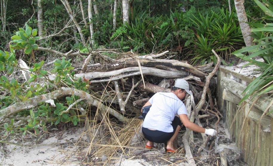A equipe de Educação Ambiental da Administração dos Portos de Paranaguá e Antonina (Appa) promoveu, no último sábado (14), a limpeza das praias da Ilha do Mel. A ação foi realizada em parceria com o escritório regional do Instituto Ambiental do Paraná (IAP), com a Organização Não Governamental Parceiros do Mar e com a comunidade da ilha. A atividade integra o Programa de Educação Ambiental da Appa e outras ações semelhantes estão previstas para o segundo semestre.