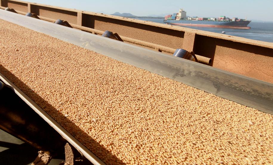 Os Portos de Paranaguá e Antonina fecharam o mês de junho com 23,4 milhões de toneladas movimentadas este ano. O volume é 7% superior ao registrado no mesmo período do ano passado.