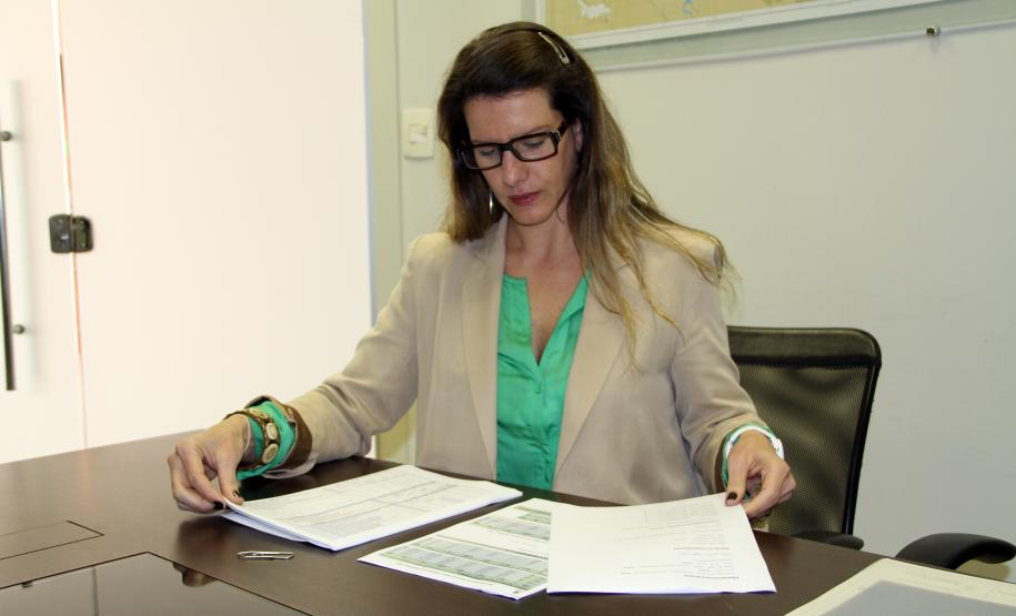 Para ocupar esta função foi nomeada a economista Xênia Arnt, que até então era responsável pelo Departamento de Planejamento da Appa.