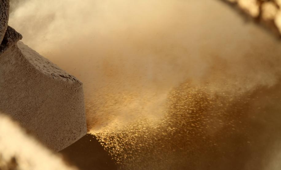 Entre os produtos que se destacam, no segmento, na exportação estão a soja – quase 6,8 milhões de toneladas, 27% a mais que o exportado em 2013 – e o farelo – mais de 3,4 milhões de toneladas, o que representa aumento de 12 %