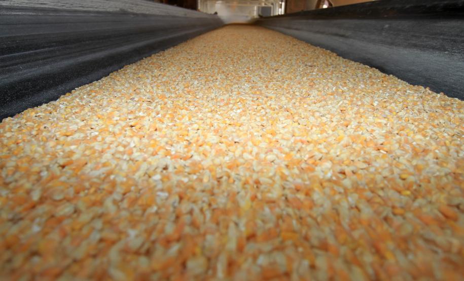 O Porto de Paranaguá bateu, no ultimo domingo (17), o recorde histórico de exportação de grãos pelo Corredor de Exportação. Foram embarcadas 112,9 mil toneladas de grãos no intervalo de 24 horas, mesmo com paralisação (por 2,5 horas) por conta das chuvas.