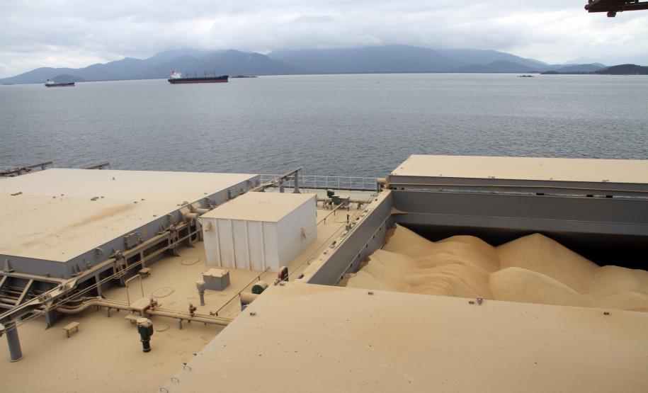 Porto de Paranaguá lidera exportações brasileiras de farelo de soja, óleo vegetal e congelados