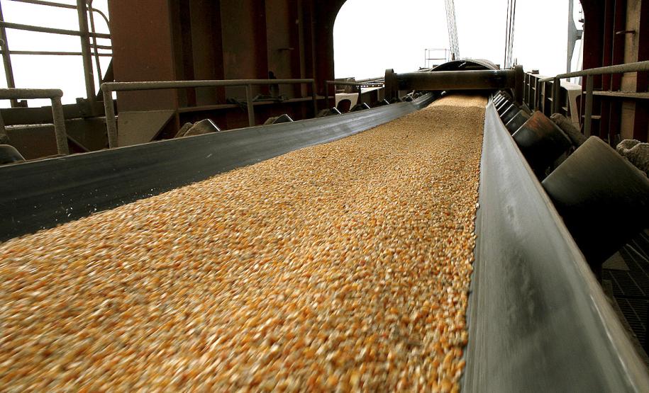 Porto de Paranaguá lidera exportações brasileiras de farelo de soja, óleo vegetal e congelados