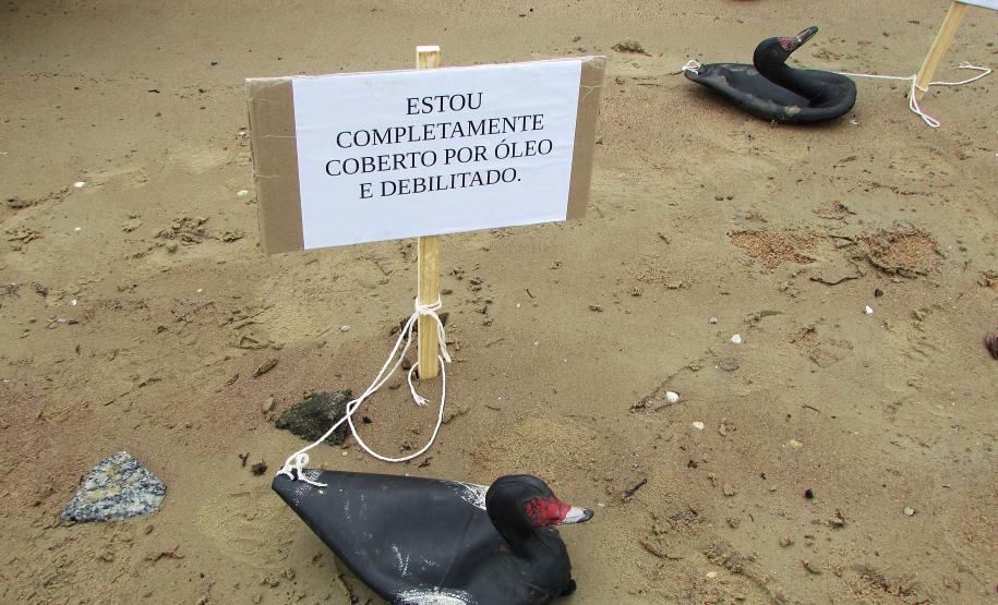 Porto de Paranaguá comprova junto ao Ibama capacidade de atender acidente ambiental Porto de Paranaguá comprova junto ao Ibama capacidade de atender acidente ambiental