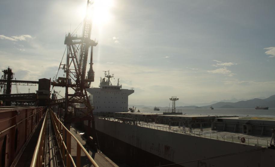 O escoamento da soja pelo Porto de Paranaguá chegou a 1,379 milhão de toneladas em junho deste an