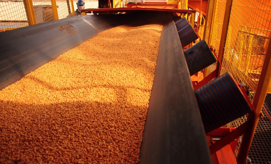 Câmbio anima produtor e exportação de soja por Paranaguá cresce 43% em agosto