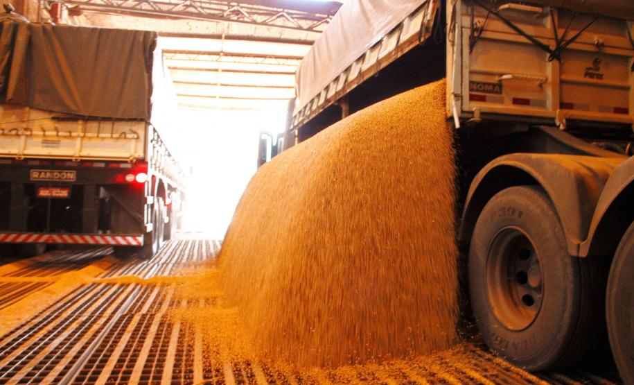 Porto de Paranaguá exporta cinco vezes mais soja em outubro