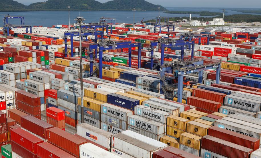 Porto de Paranaguá assume a liderança nas exportações de carne de frango