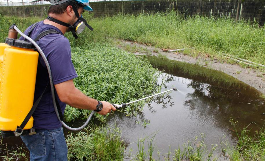 Portos do Paraná criam Patrulha Voluntária de combate à dengue