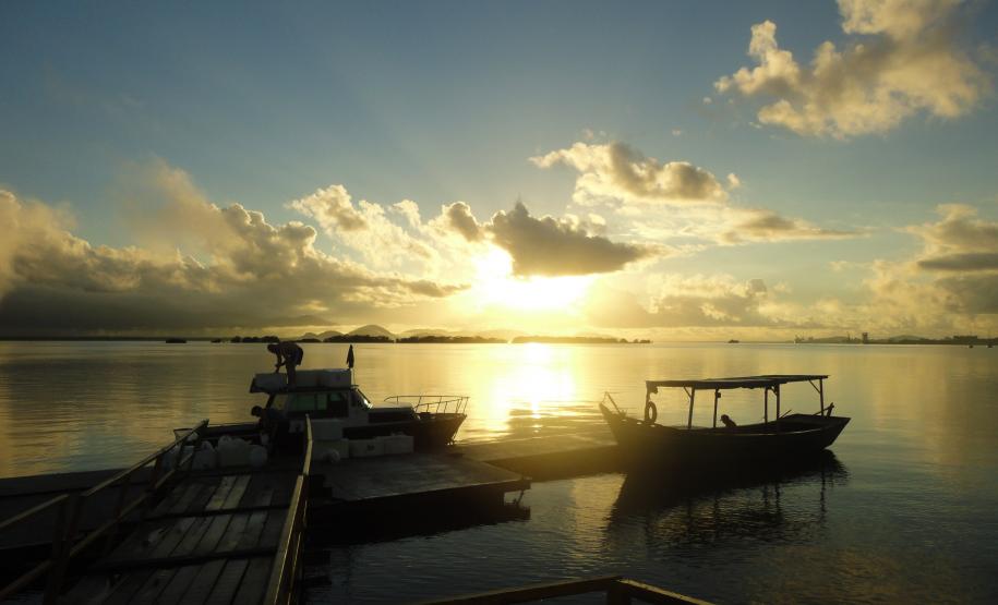 Produção pesqueira no litoral do Paraná cresceu 11,7% em 2015