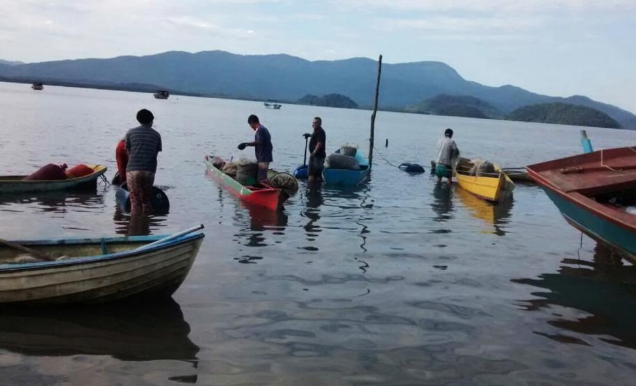 Produção pesqueira no litoral do Paraná cresceu 11,7% em 2015