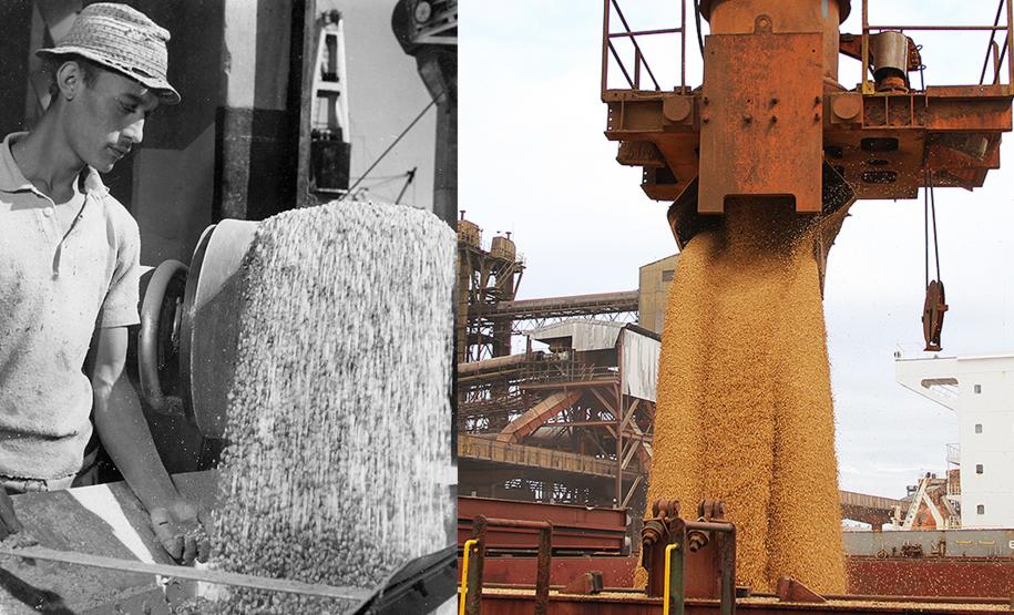 Recorde de produtividade marca os 81 anos do Porto de Paranaguá Recorde de produtividade marca os 81 anos do Porto de Paranaguá