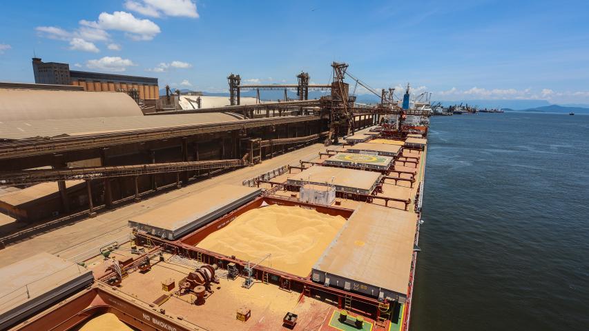 China recebe 91,8% da exportação de soja movimentada no Porto de Paranaguá